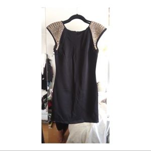 NWT Chesley Bodycon Dress